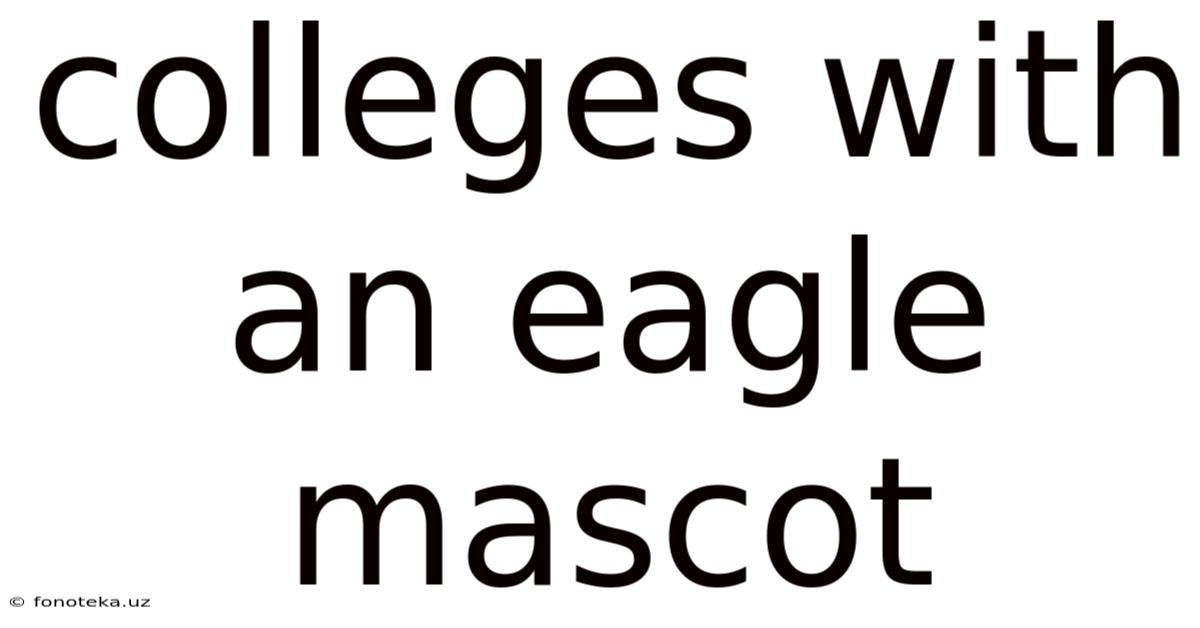 Colleges With An Eagle Mascot