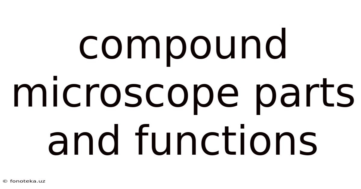 Compound Microscope Parts And Functions