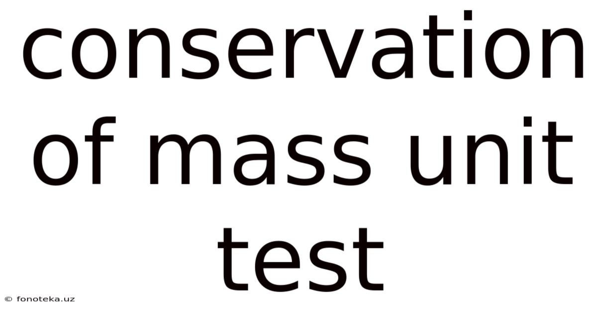 Conservation Of Mass Unit Test