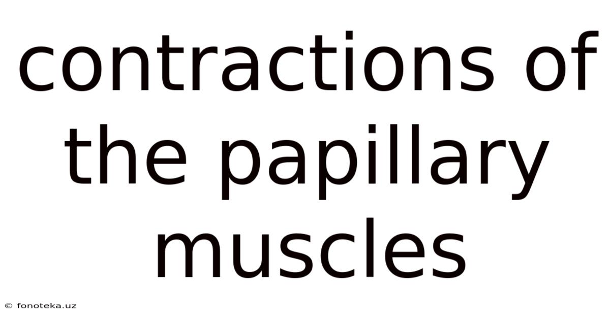 Contractions Of The Papillary Muscles