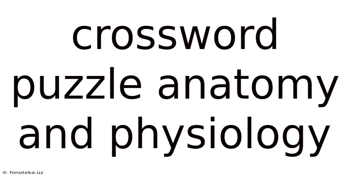 Crossword Puzzle Anatomy And Physiology