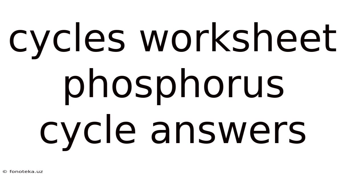 Cycles Worksheet Phosphorus Cycle Answers