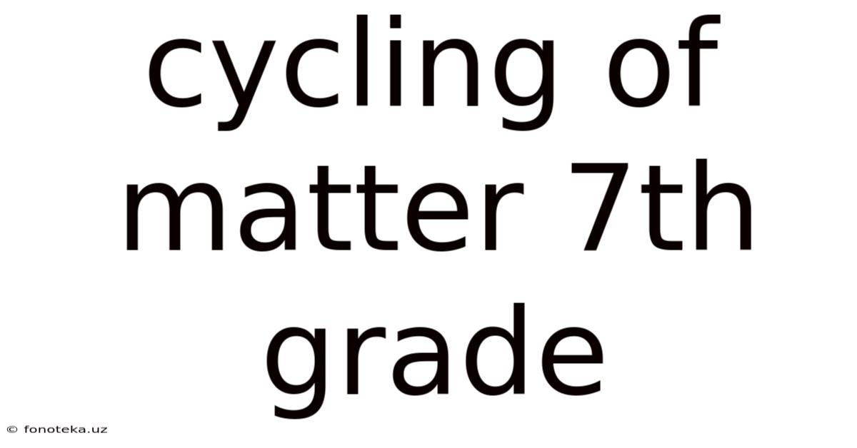 Cycling Of Matter 7th Grade