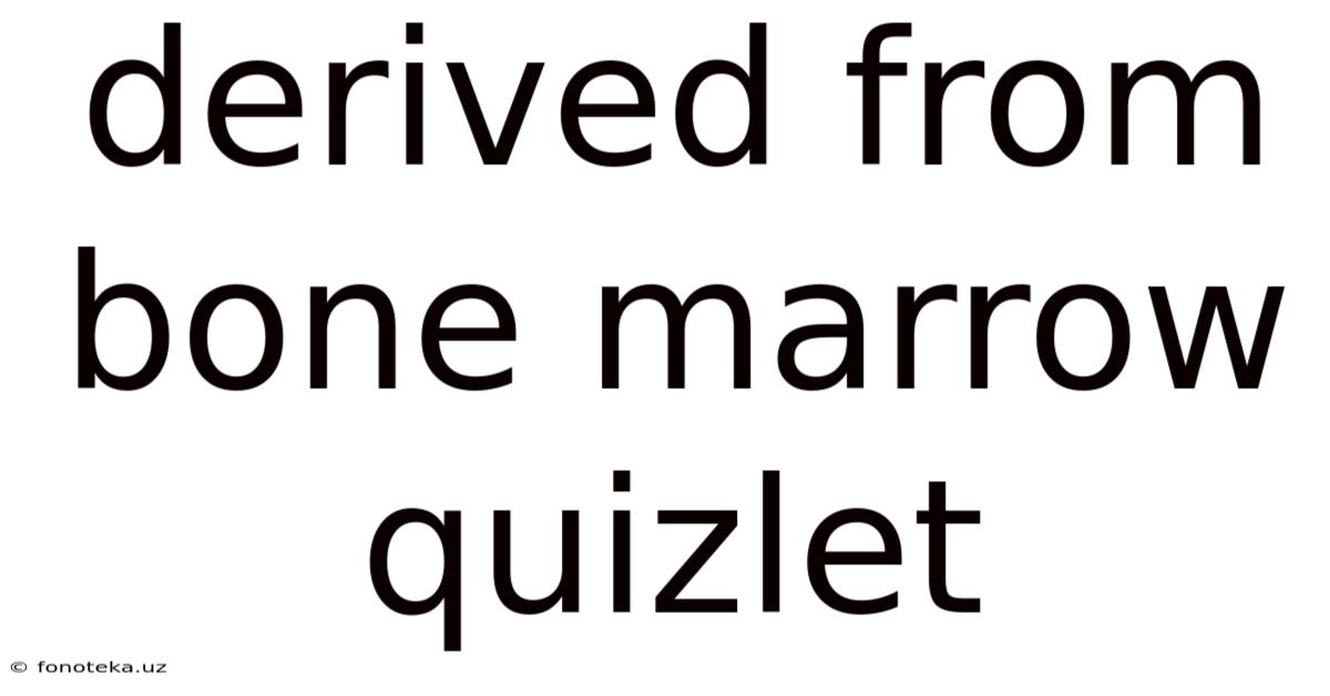 Derived From Bone Marrow Quizlet