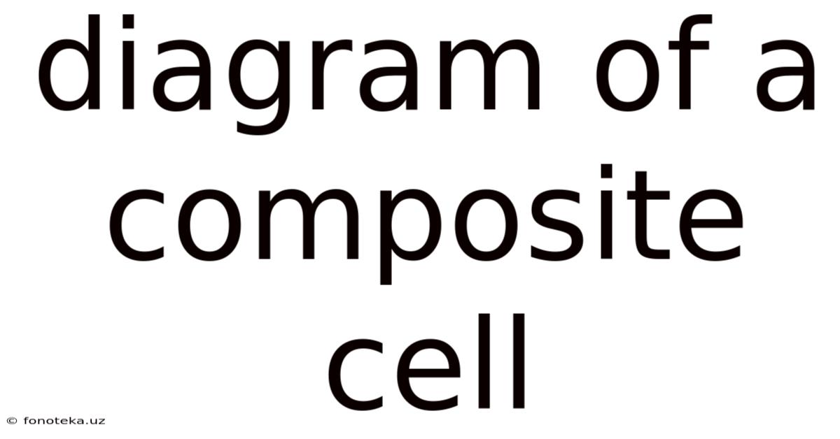 Diagram Of A Composite Cell