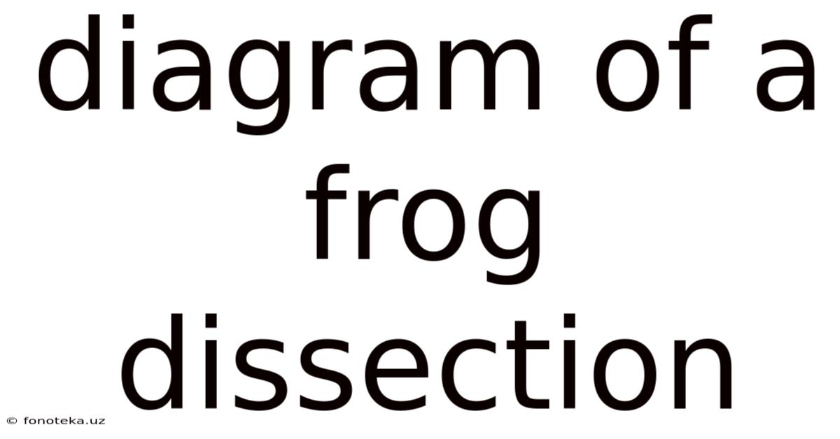 Diagram Of A Frog Dissection