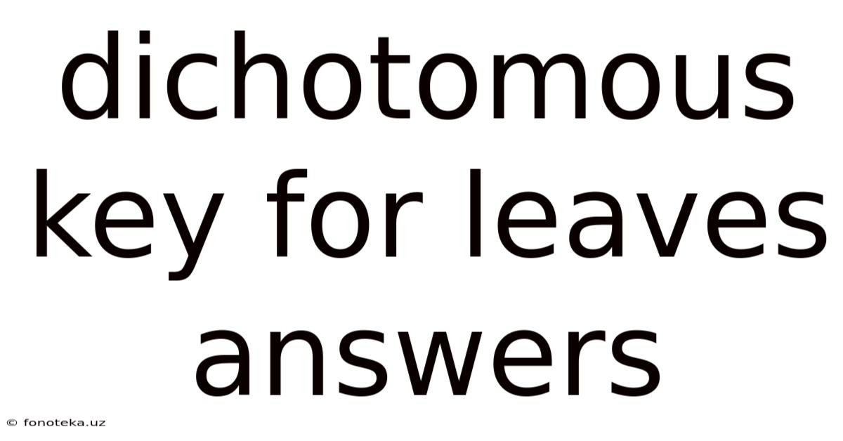 Dichotomous Key For Leaves Answers