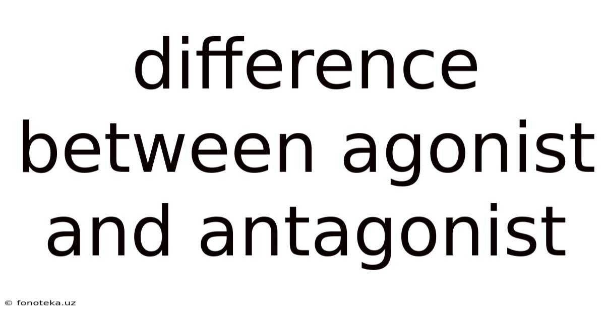 Difference Between Agonist And Antagonist