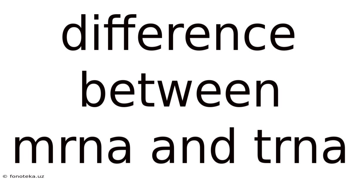 Difference Between Mrna And Trna