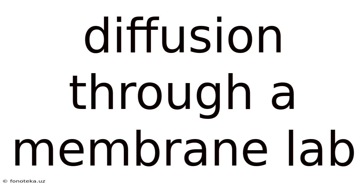 Diffusion Through A Membrane Lab