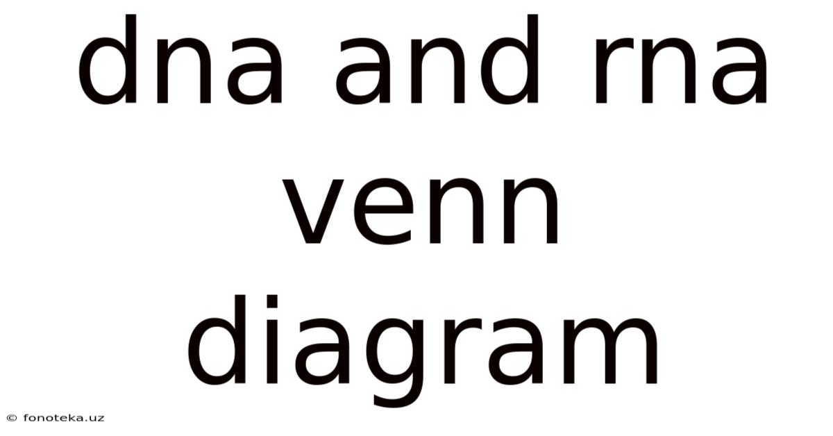 Dna And Rna Venn Diagram
