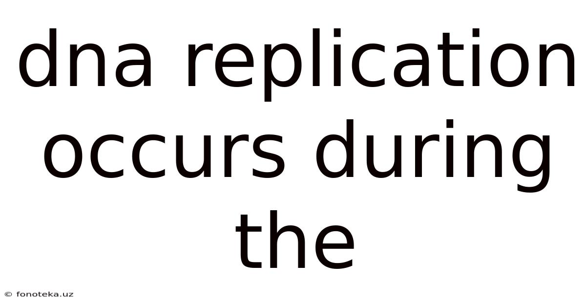Dna Replication Occurs During The