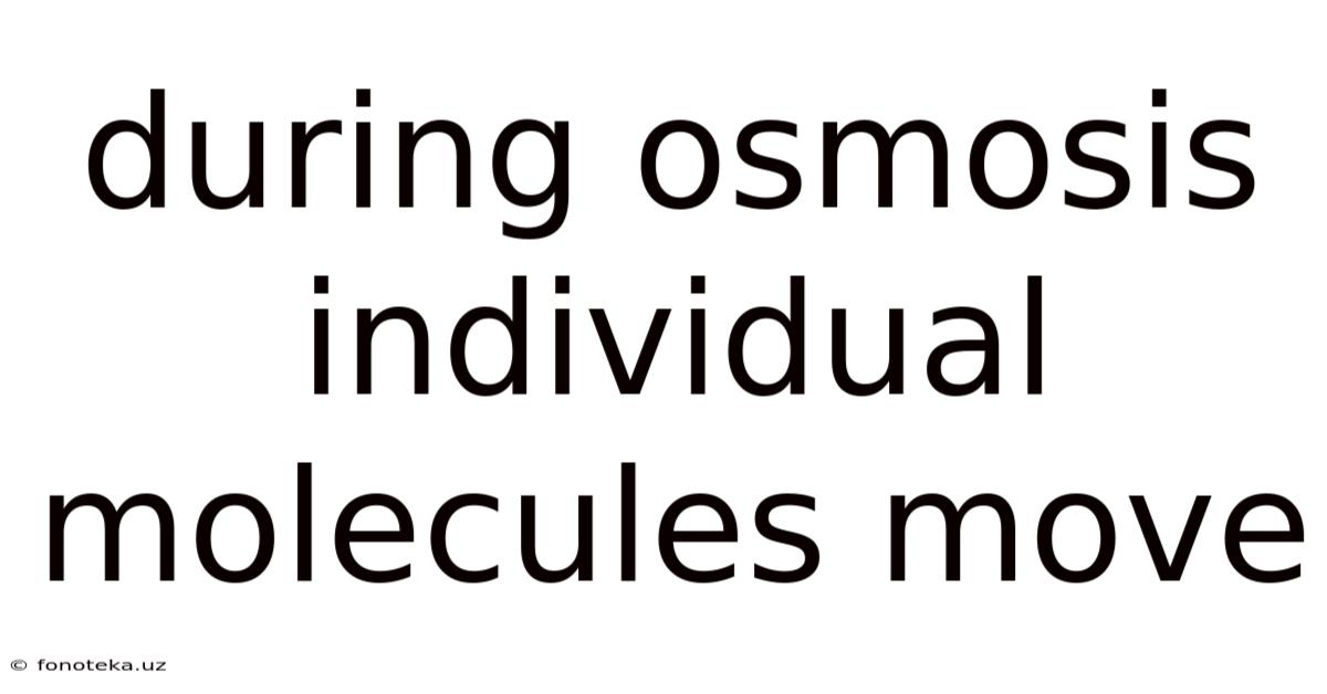 During Osmosis Individual Molecules Move