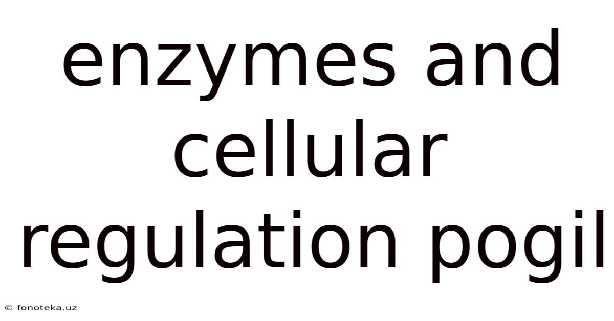 Enzymes And Cellular Regulation Pogil