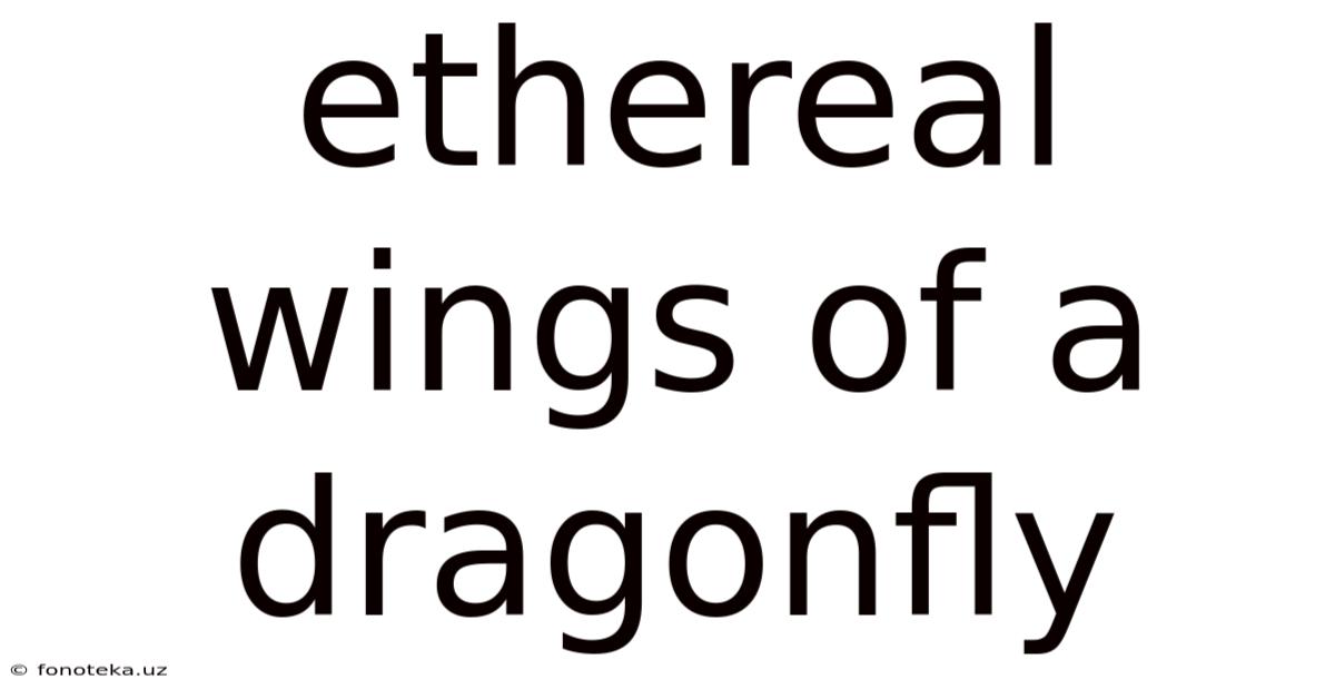 Ethereal Wings Of A Dragonfly
