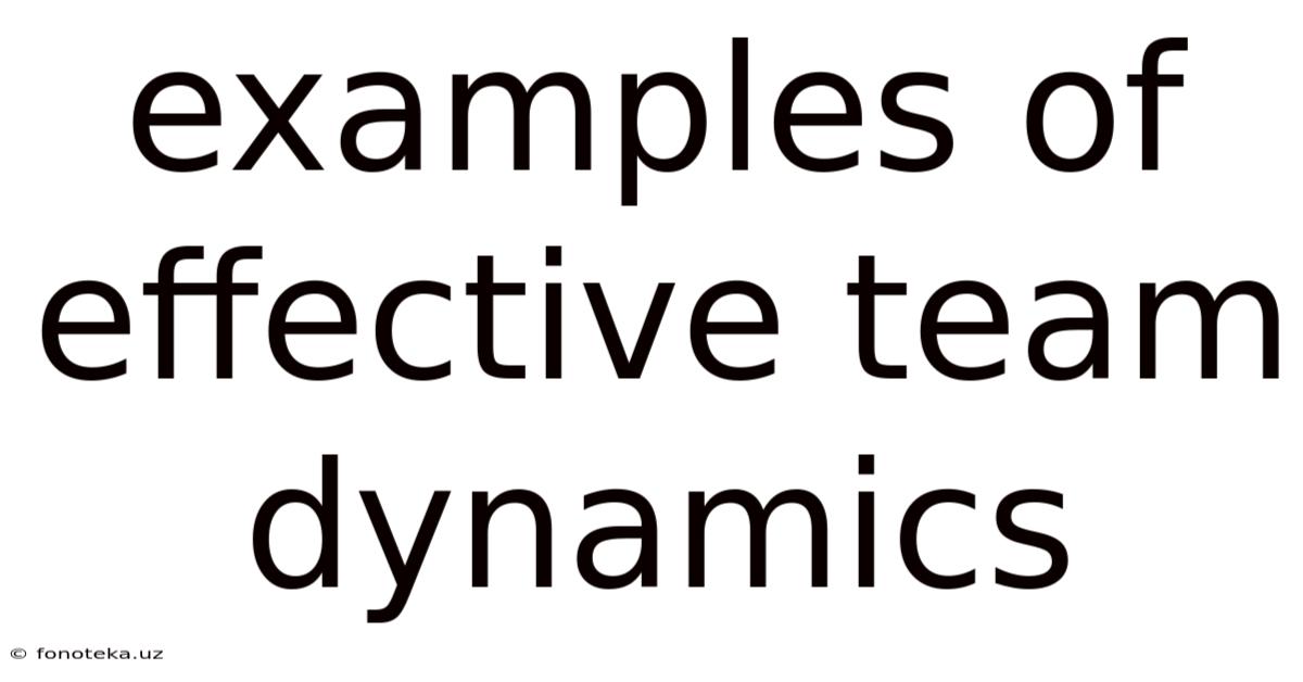 Examples Of Effective Team Dynamics
