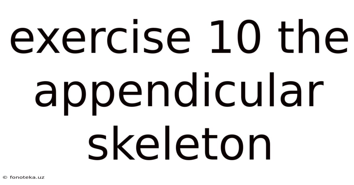 Exercise 10 The Appendicular Skeleton