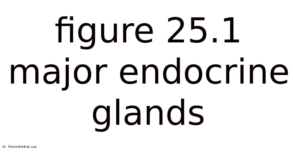 Figure 25.1 Major Endocrine Glands