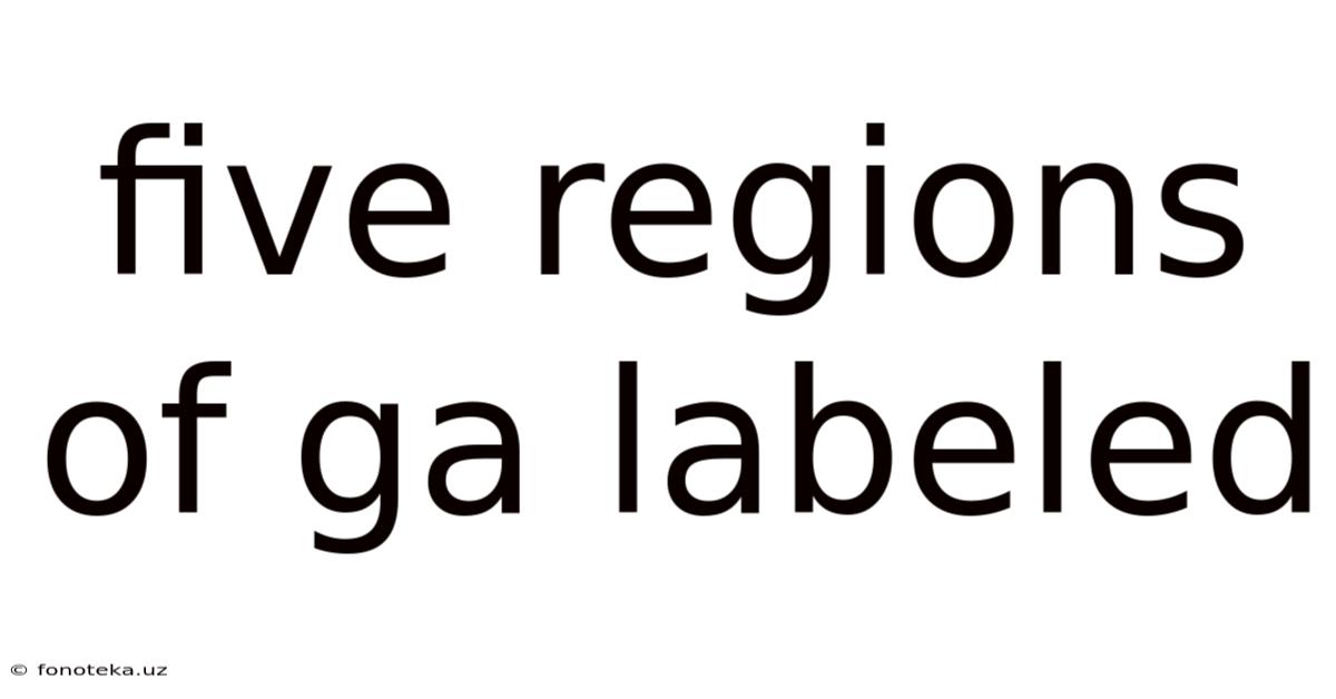 Five Regions Of Ga Labeled
