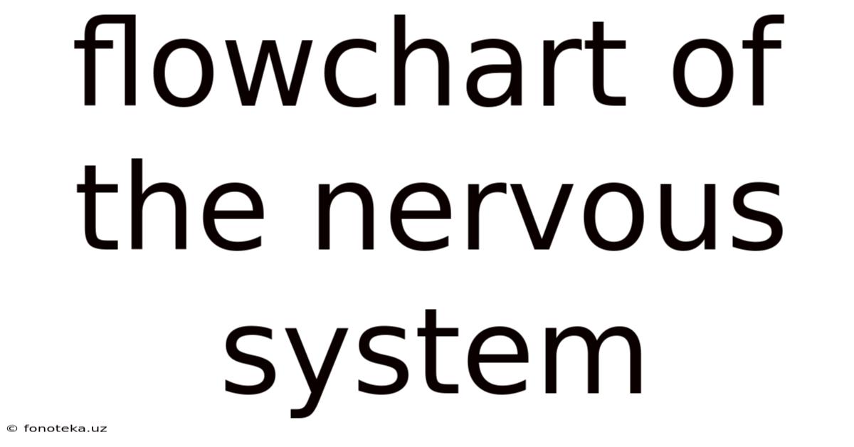 Flowchart Of The Nervous System
