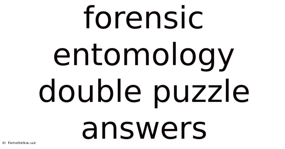 Forensic Entomology Double Puzzle Answers