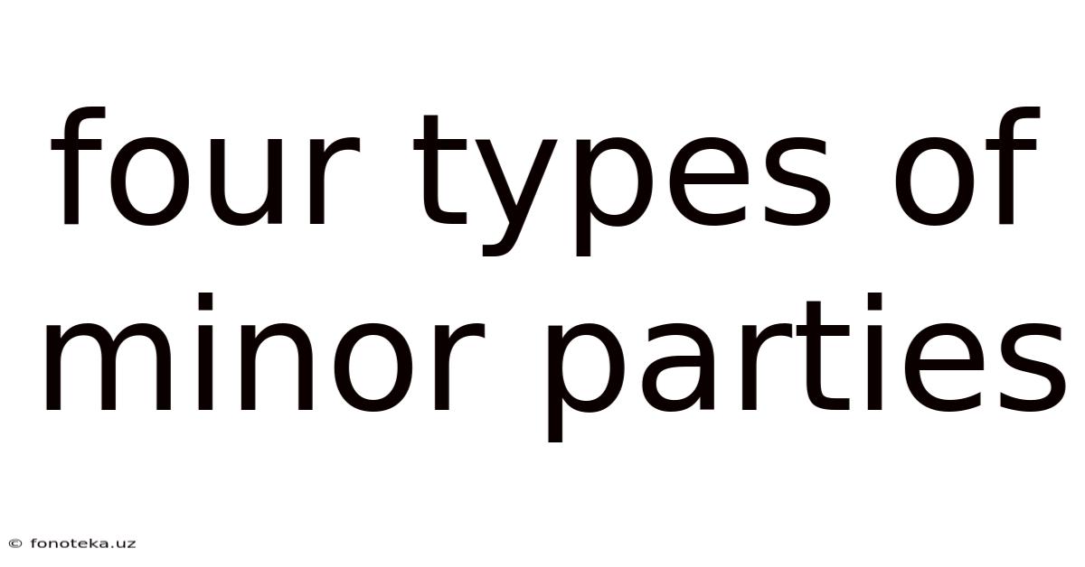 Four Types Of Minor Parties