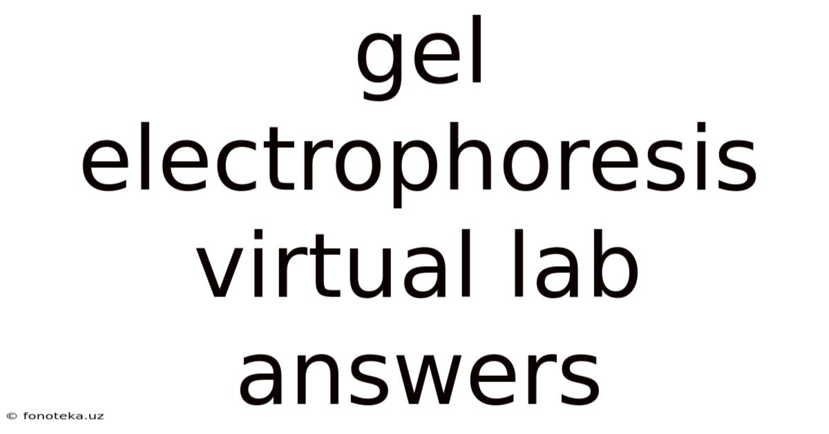 Gel Electrophoresis Virtual Lab Answers