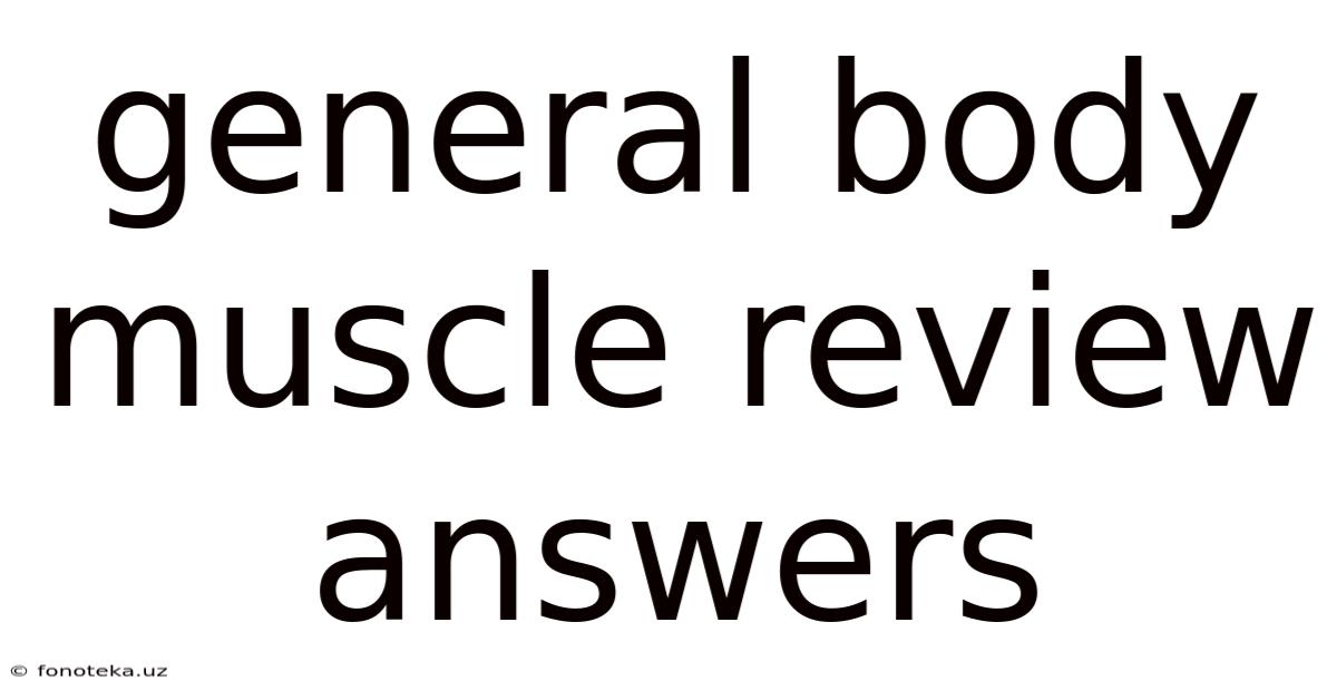 General Body Muscle Review Answers
