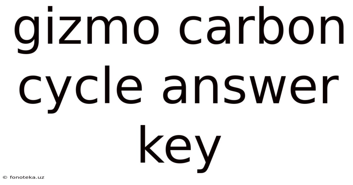 Gizmo Carbon Cycle Answer Key