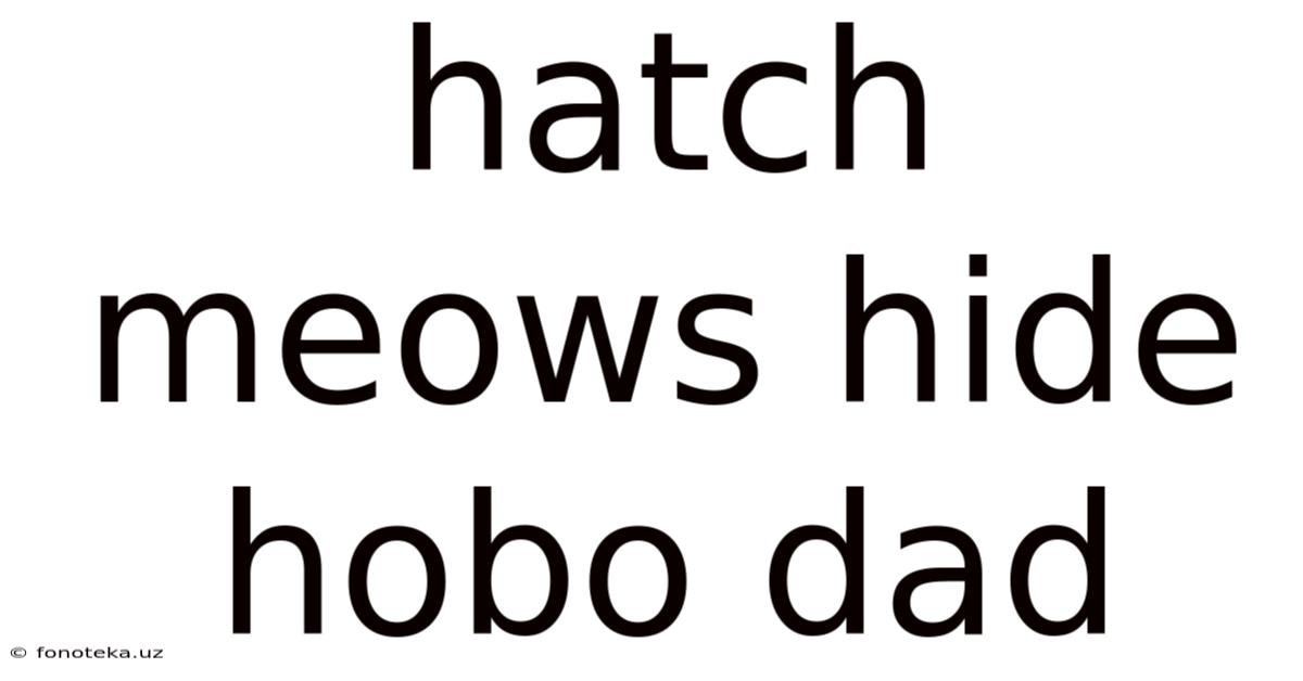Hatch Meows Hide Hobo Dad