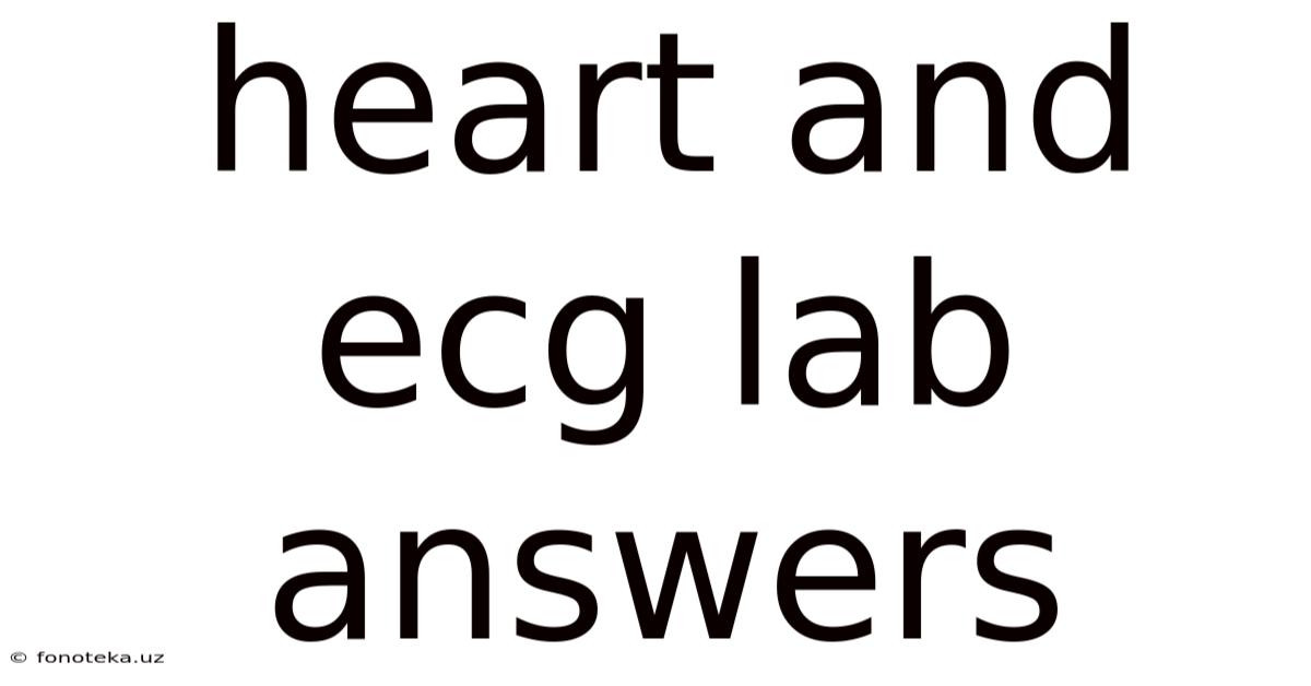 Heart And Ecg Lab Answers