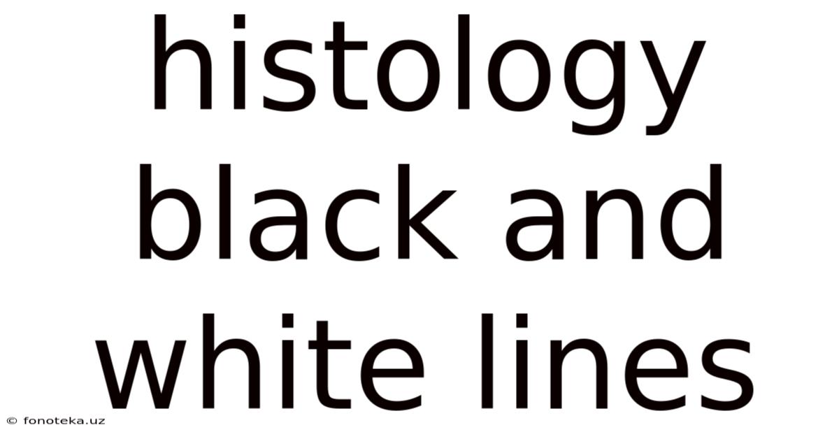 Histology Black And White Lines