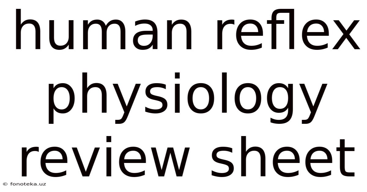 Human Reflex Physiology Review Sheet