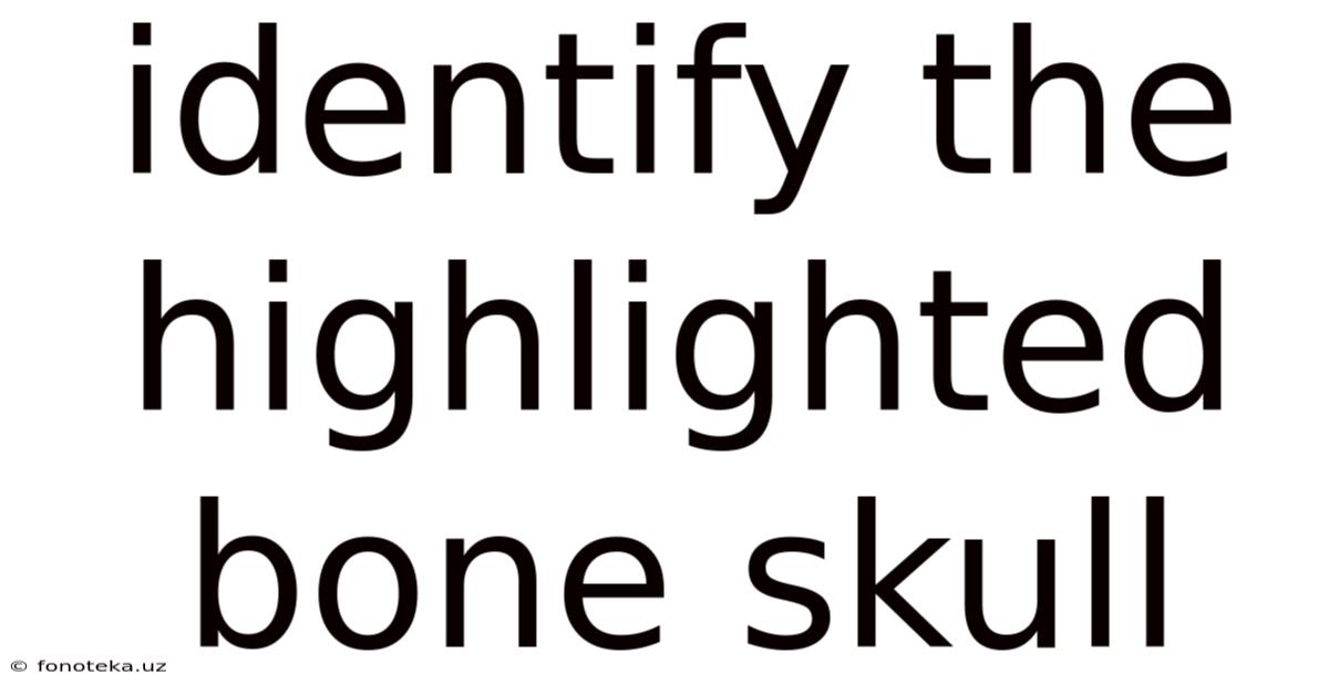 Identify The Highlighted Bone Skull