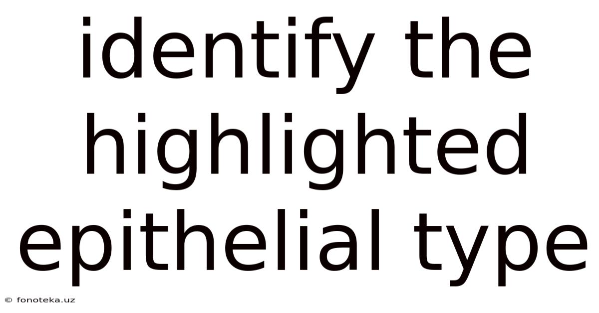Identify The Highlighted Epithelial Type