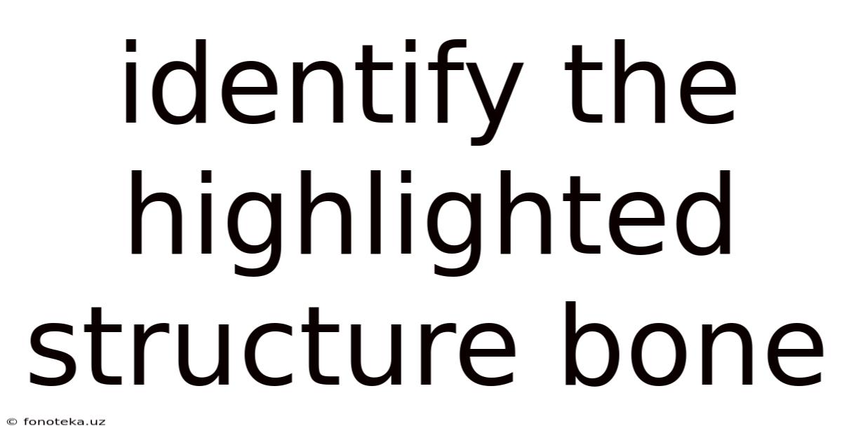 Identify The Highlighted Structure Bone