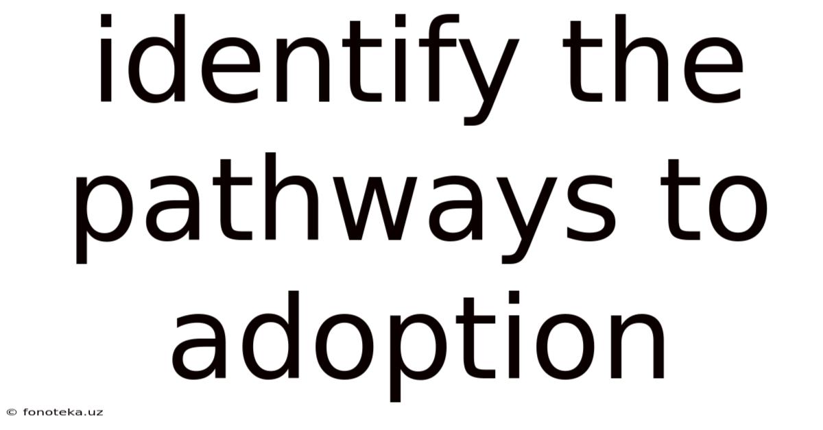 Identify The Pathways To Adoption