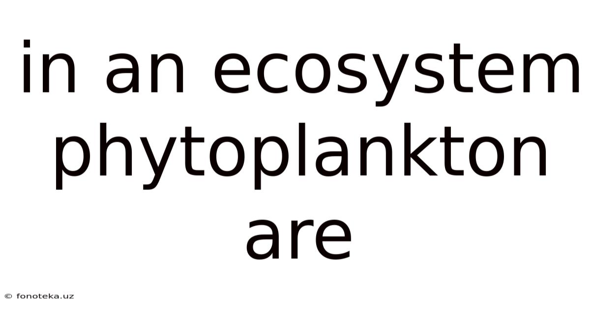 In An Ecosystem Phytoplankton Are