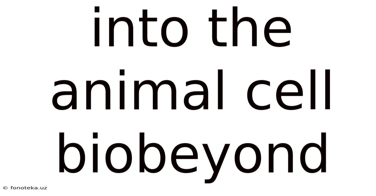 Into The Animal Cell Biobeyond