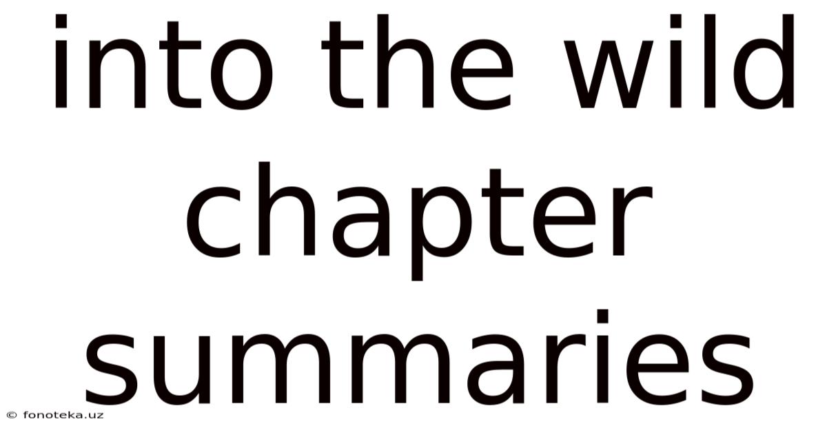 Into The Wild Chapter Summaries