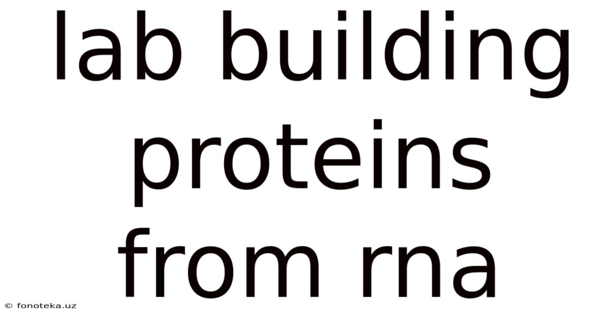 Lab Building Proteins From Rna