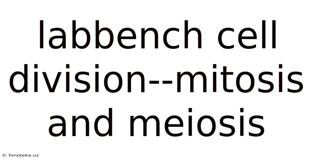 Labbench Cell Division--mitosis And Meiosis