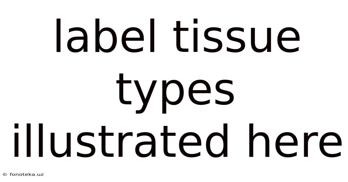 Label Tissue Types Illustrated Here