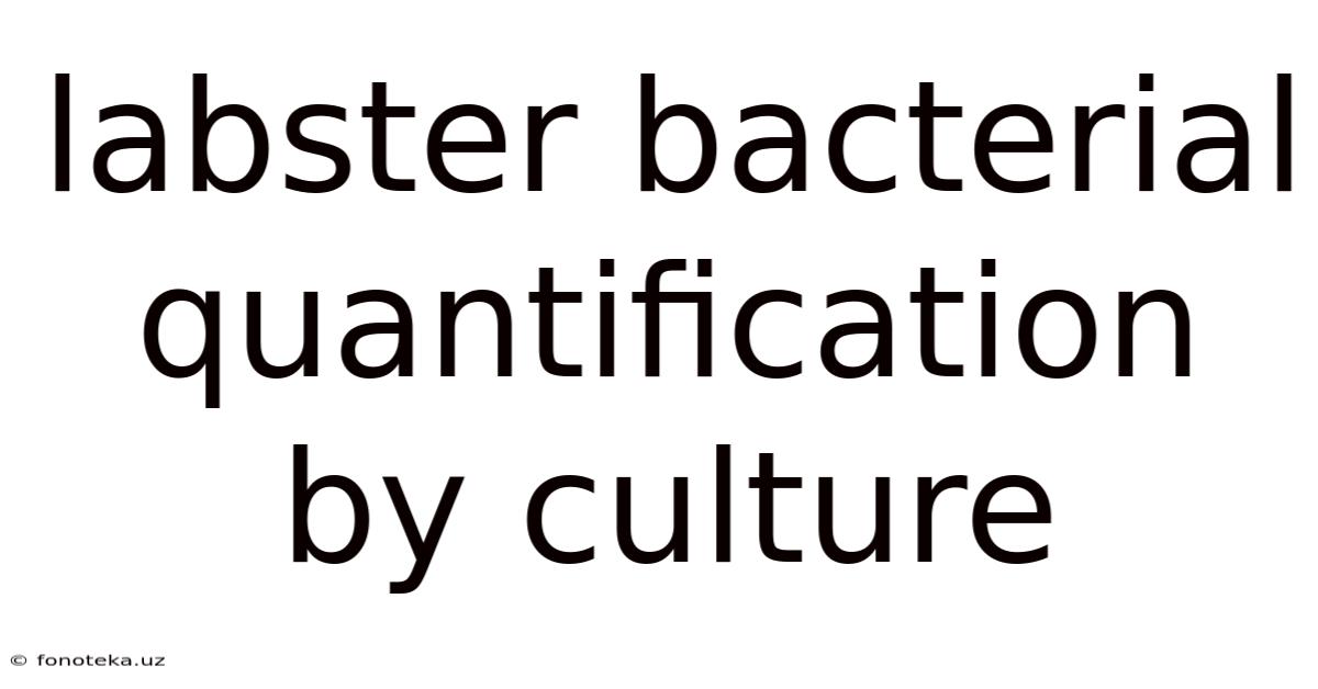 Labster Bacterial Quantification By Culture