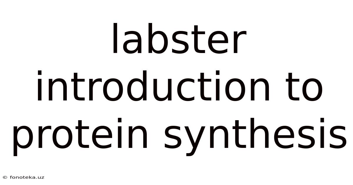 Labster Introduction To Protein Synthesis