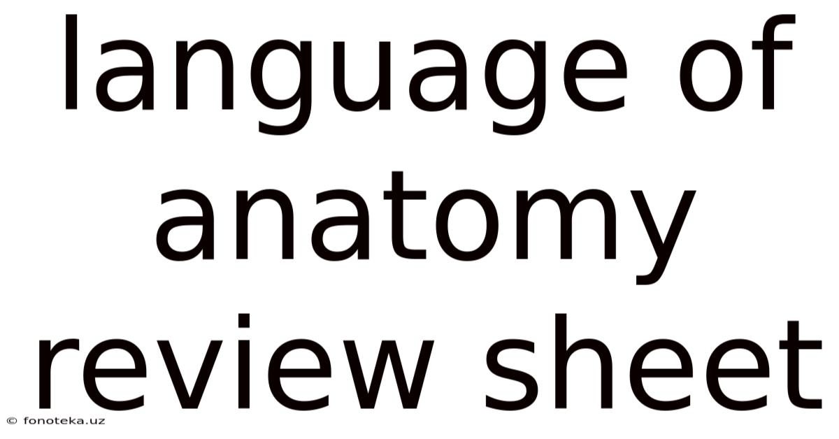 Language Of Anatomy Review Sheet