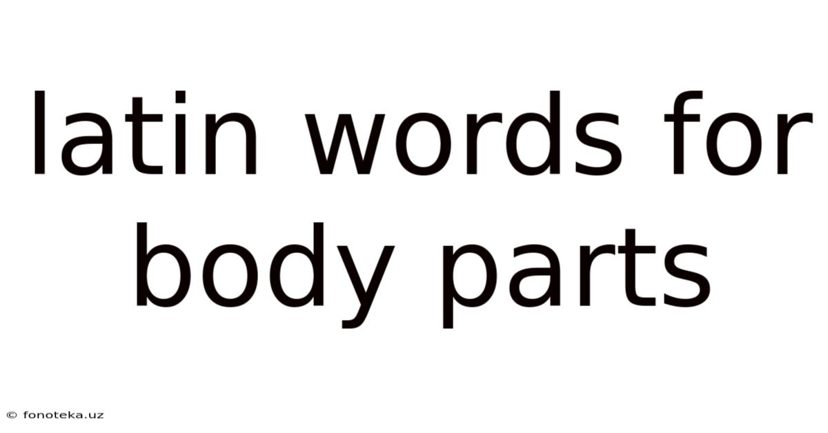 Latin Words For Body Parts