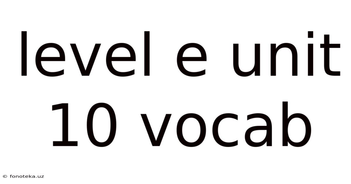 Level E Unit 10 Vocab
