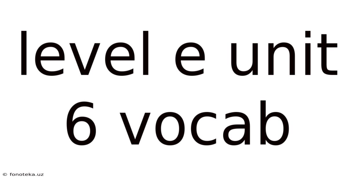 Level E Unit 6 Vocab