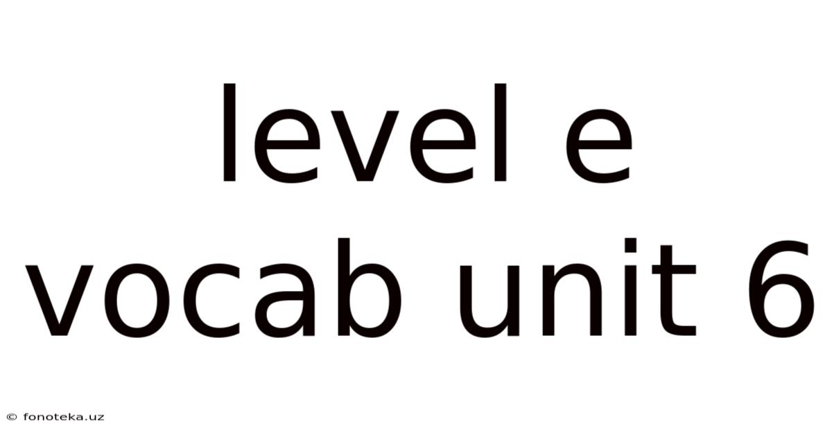 Level E Vocab Unit 6